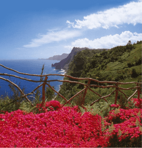 Die Blumenpracht von Maderia - Quelle OLIMAR Reisen - Südeuropa