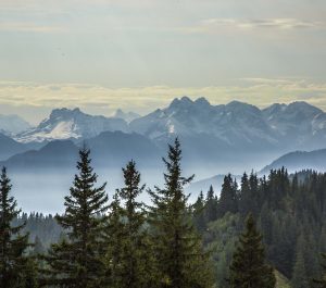 Allgäu Fischen Balderschwang Wandern