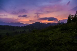 Allgäu Fischen Balderschwang Wandern