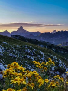 Steinbocktour Hochvogel