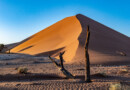Namibia Sehenswürdigkeiten: Die 10 besten Highlights und Tipps