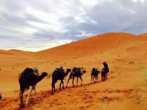 Dünen Wüste merzouga erg chebbi Marokko Highlights