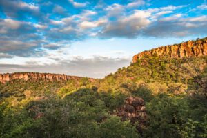 Der Waterberg Nationalpark